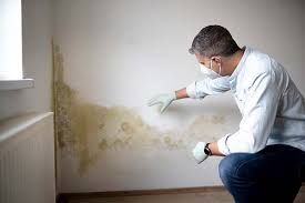 Best Mold Odor Removal Services  in Anchorage, KY